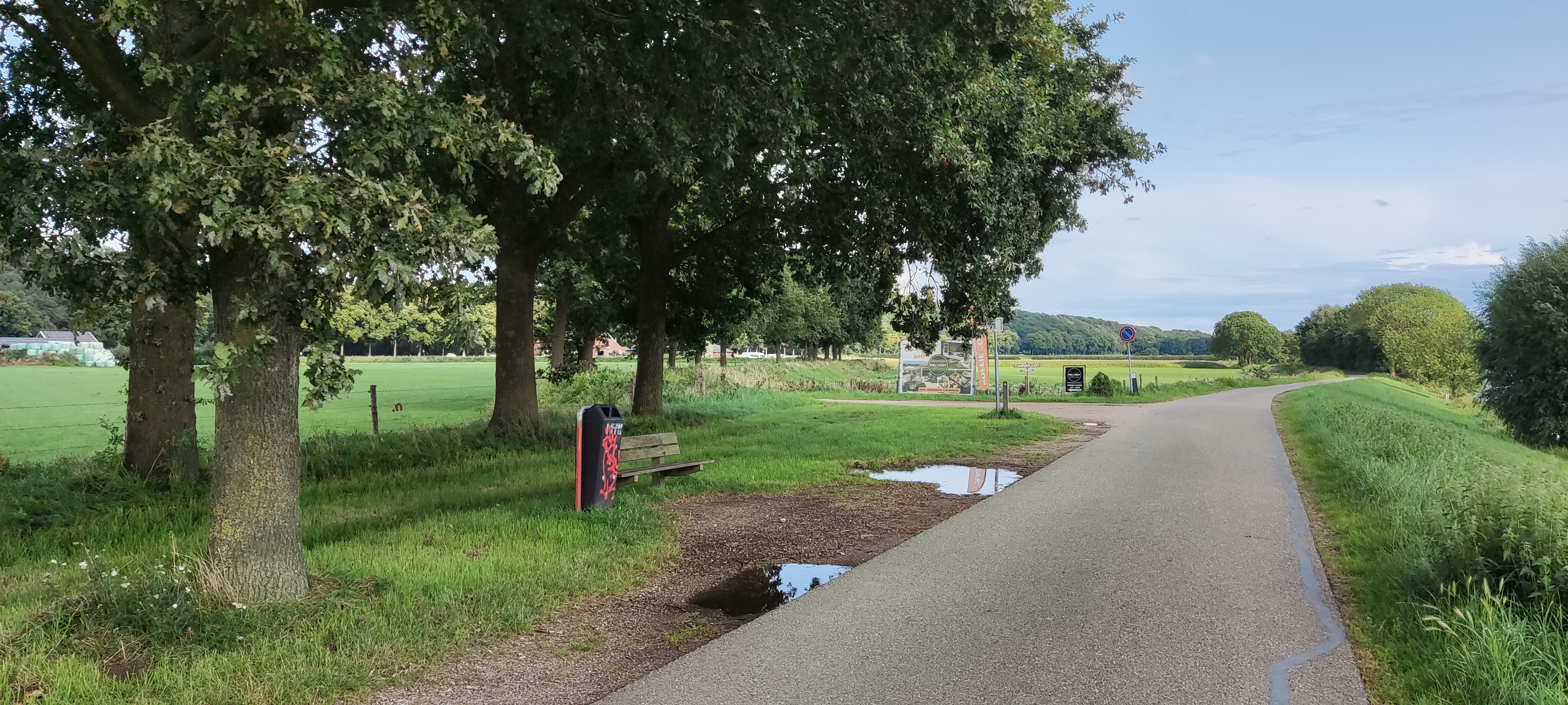 Foto van het bankje bij de bomen met een prullenbak ernaast. 