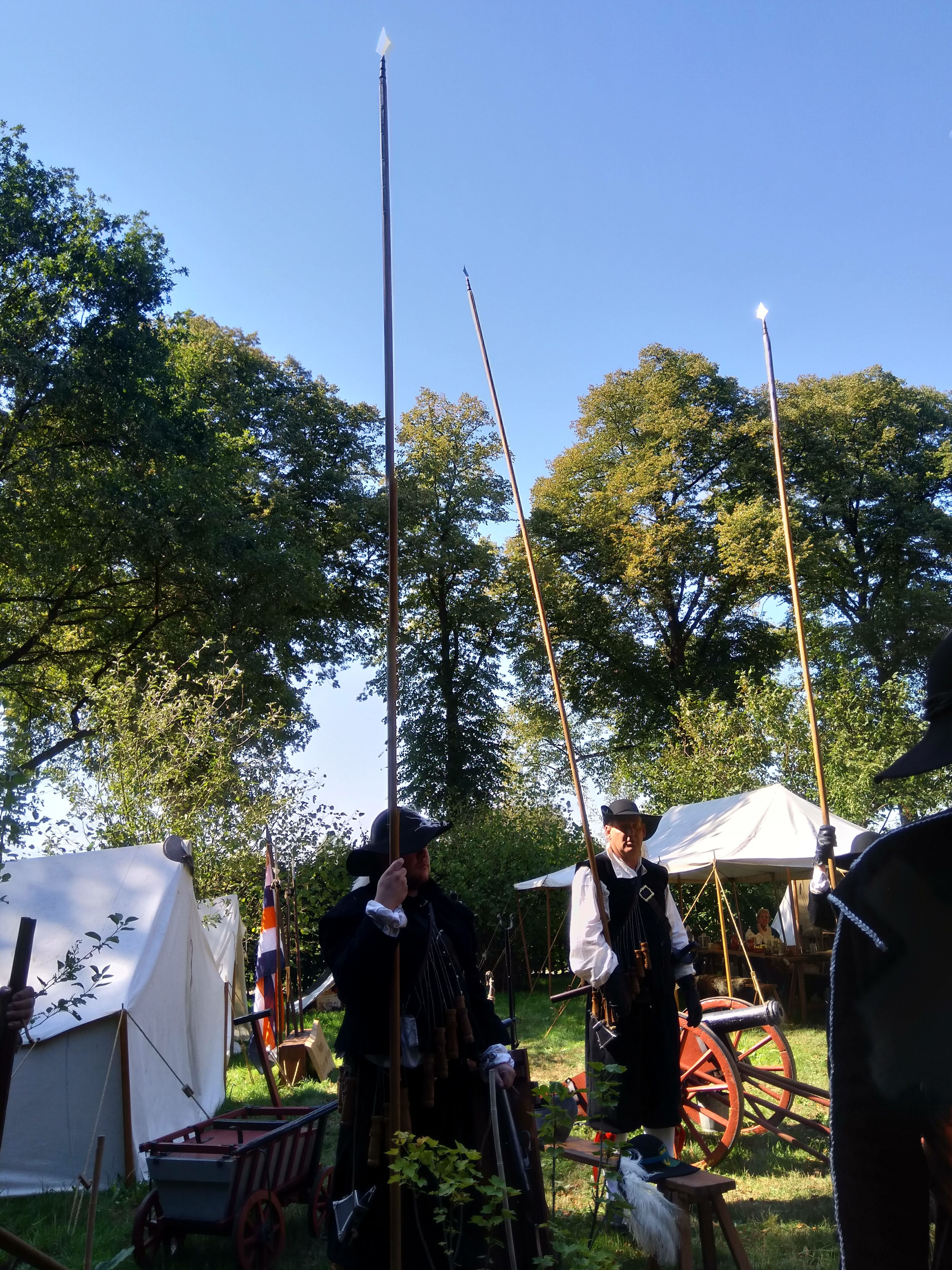 Foto van piekeniers met hun lange pieken rechtop bij een re-enactment.